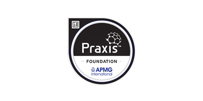 Praxis Courses